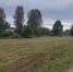 Фото: газета «Призыв» - InformPskov.Ru