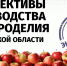 Псковское агентство информации начинает проект «ПАИ. Экспертиза» - InformPskov.Ru