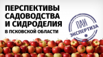 Проект «ПАИ. Экспертиза» запускает Псковское агентство информации