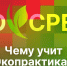 Начинается видеотрансляция программы «Экосреда»: Чему учит «Экопрактика»? - Pln-Pskov.Ru