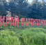 Инсталляция «Край партизанской славы» - InformPskov.Ru
