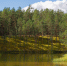 Фото: ПАИ - InformPskov.Ru