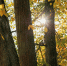 Фото: ПАИ - InformPskov.Ru