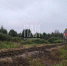 Фото здесь и далее: ПАИ - InformPskov.Ru