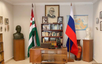 svirinashum 3