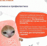 Укрепляем иммунитет - InformPskov.Ru