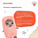 Укрепляем иммунитет