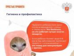Как укрепить иммунитет детей осенью: объясняем в карточках