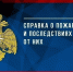 Справка о пожарах и последствиях от них за 8 месяцев 2025 года - МЧС Псковской области