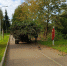 Фото: Luki-News - InformPskov.Ru