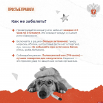 Как уберечь себя от ОРВИ, рассказали в псковском Минздраве