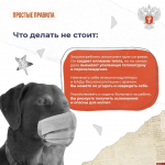 Как уберечь себя от ОРВИ, рассказали в псковском Минздраве