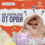 Как уберечь себя от ОРВИ, рассказали в псковском Минздраве