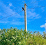 Проект «Энергосвет» реализовали на острове имени Залита - Pln-Pskov.Ru