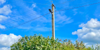 Проект «Энергосвет» реализовали на острове имени Залита - Pln-Pskov.Ru