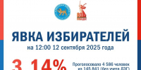 8,3 тысячи псковичей проголосовали на выборах по данным на 12:00 12 сентября - Псковская правда