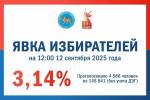 8,3 тысячи псковичей проголосовали на выборах по данным на 12:00 12 сентября