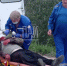 Фото здесь и далее: ПАИ - InformPskov.Ru