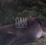 Фото здесь и далее: ПАИ - InformPskov.Ru
