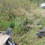 Водитель легковушки улетел в кювет в Бежаницком районе - InformPskov.Ru
