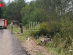 Водитель легковушки улетел в кювет в Бежаницком районе