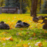 Фото: ПАИ - InformPskov.Ru