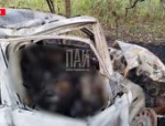В Пустошкинском районе погиб водитель во время аварии