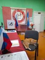 Стартовал заключительный день голосования в Псковской области