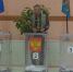 Не только проголосовать, но и привиться от гриппа, и познакомиться с Барсиком. Как проходили выборы в регионе? - ГТРК Псков