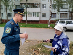 Специалистами ОНДиПР проведен рейд в Пскове