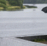Фото: ПАИ - InformPskov.Ru