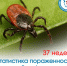 Иллюстрация Псковской областной инфекционной клинической больницы - InformPskov.Ru