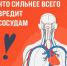 Советы от врачей - InformPskov.Ru
