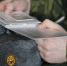 Фото: ПАИ - InformPskov.Ru