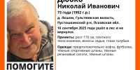 Изображение: поисковый отряд «ЛизаАлерт» Псковской области - InformPskov.Ru