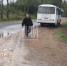 Два человека пострадали в столкновении трех автомобилей и автобуса в Великолукском районе - InformPskov.Ru
