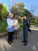 Специалистами ОНДиПР проведен рейд    в  Пскове