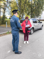 Специалистами ОНДиПР проведен рейд    в  Пскове