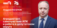 Начинается видеотрансляция программы «Дом Советов» с Андреем Козловым - Pln-Pskov.Ru