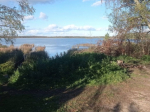 В Пушкиногорском районе проводится проверка по сообщению о гибели мужчины в водоеме