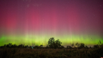 Полярное сияние заснял фотограф-любитель в псковских Черняковицах