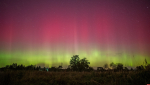 Полярное сияние заснял фотограф-любитель в псковских Черняковицах