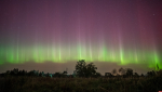 Полярное сияние заснял фотограф-любитель в псковских Черняковицах