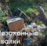 Фото со страницы Светланы Радионовой в соцсети «ВКонтакте» - InformPskov.Ru