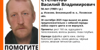 Фото: региональный поисковой отряд «ЛизаАлерт» - InformPskov.Ru