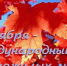 https//i.ibb.co/20pj9t4G/image.png - КПРФ