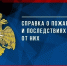 Справка о пожарах и последствиях от них за 9 месяцев 2025 года - МЧС Псковской области