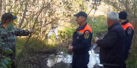 Фото здесь и далее из канала Михаила Ведерникова в мессенджере МАХ - InformPskov.Ru