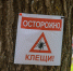 Фото: ПАИ - InformPskov.Ru