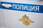 Похожий на автомат Калашникова предмет обнаружили в мусорном контейнере в Пскове
